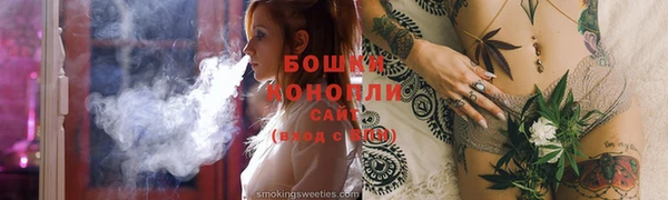 шишки Богородицк