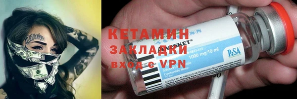 шишки Богородицк