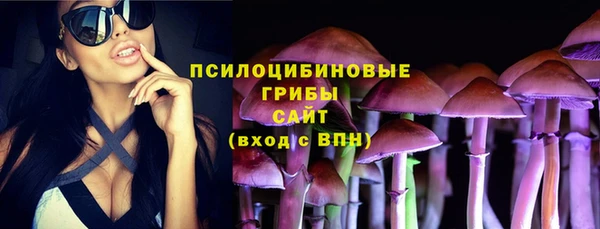 амфетамин Богородск
