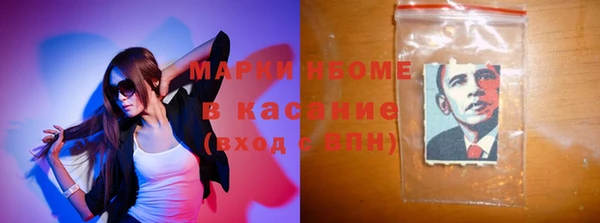шишки Богородицк