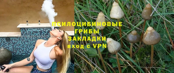 шишки Богородицк
