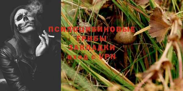 шишки Богородицк