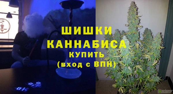 шишки Богородицк