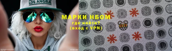шишки Богородицк