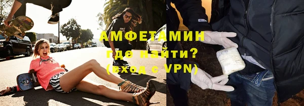 шишки Богородицк