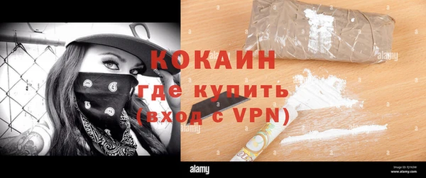 шишки Богородицк