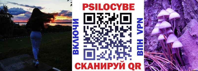 Псилоцибиновые грибы Magic Shrooms  Купить  Кирсанов 